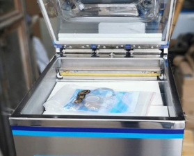 Máy Hút Chân Không DZQ 320